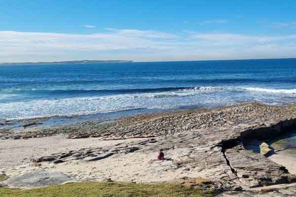 Wedding venue at Oak Park Beach, Cronulla